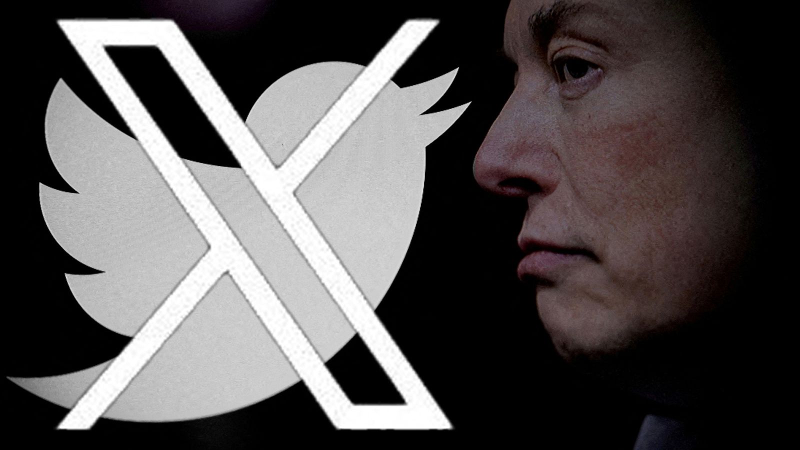 Elon Musk wants to rebrand Twitter – here’s why it’s going to be such an enormous challenge | Science & Tech News