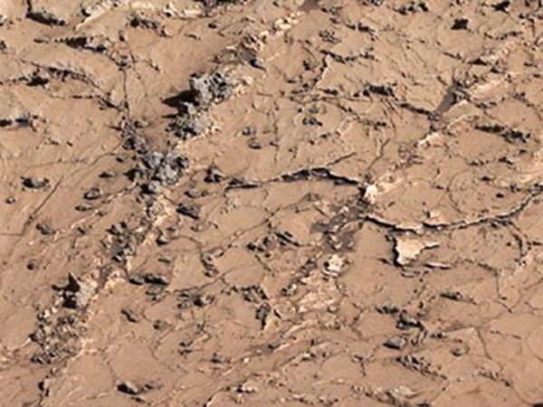 NASA’s Mars rover finds surprising mud cracks that hint planet once supported life | Science & Tech News