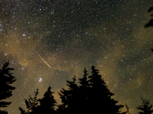 Perseid meteor shower peaks tonight – here’s what you need to know | Science & Tech News