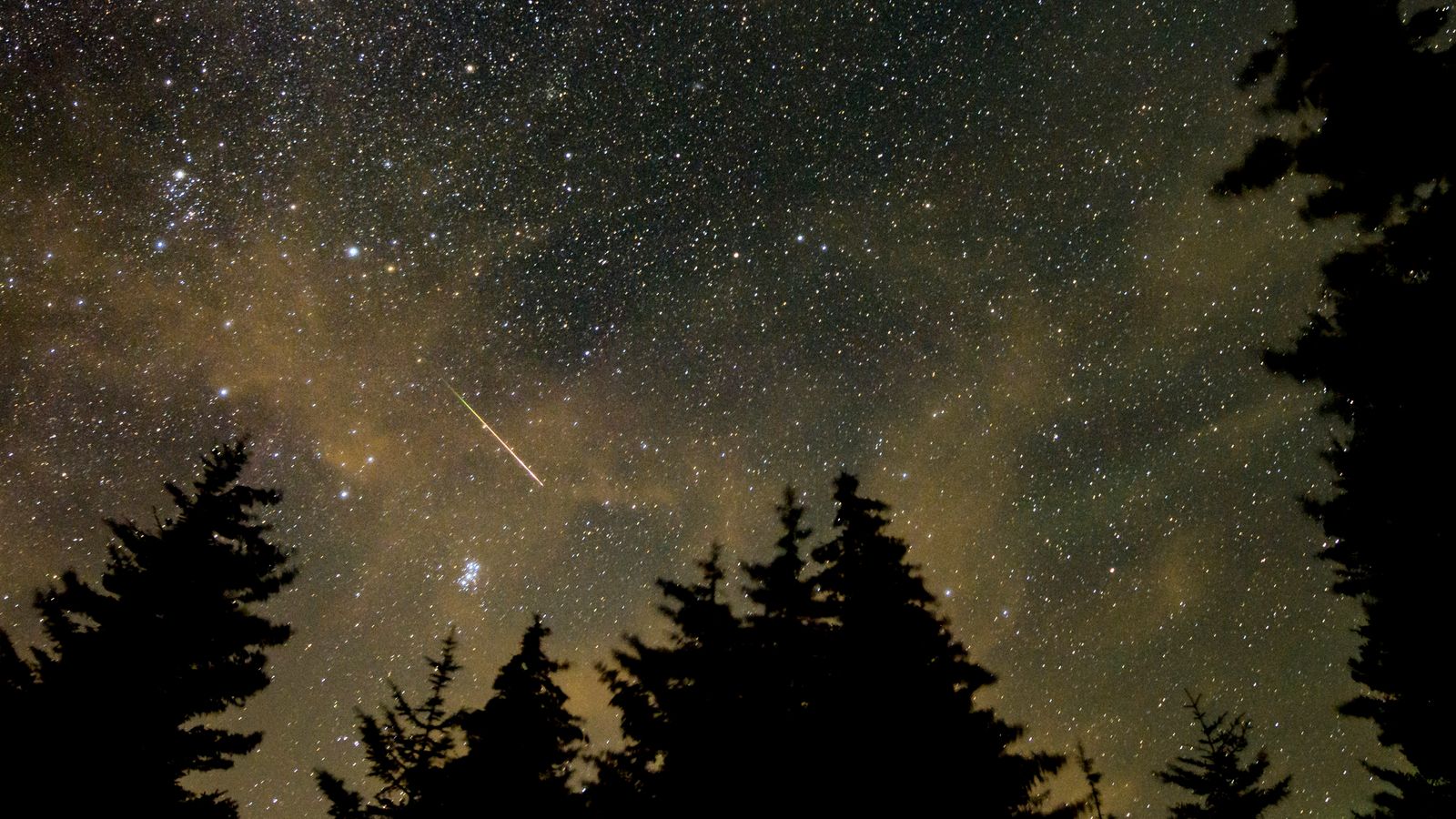 Perseid meteor shower peaks tonight – here’s what you need to know | Science & Tech News