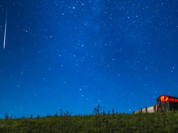 Perseid meteor shower to peak – here’s how, where and when | Science & Tech News