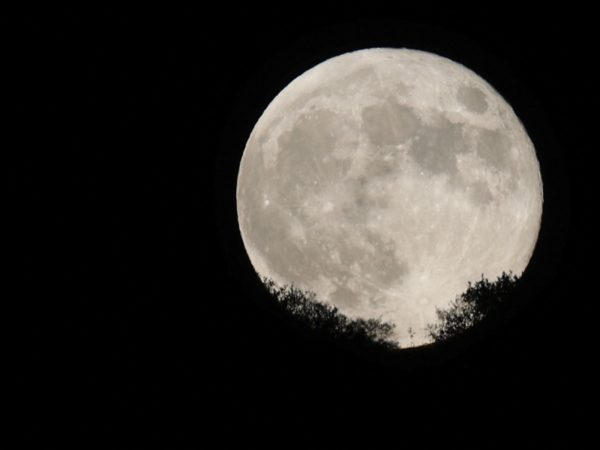 ‘Blue’ supermoon: What to expect and when’s the best time to see it this week | Science & Tech News