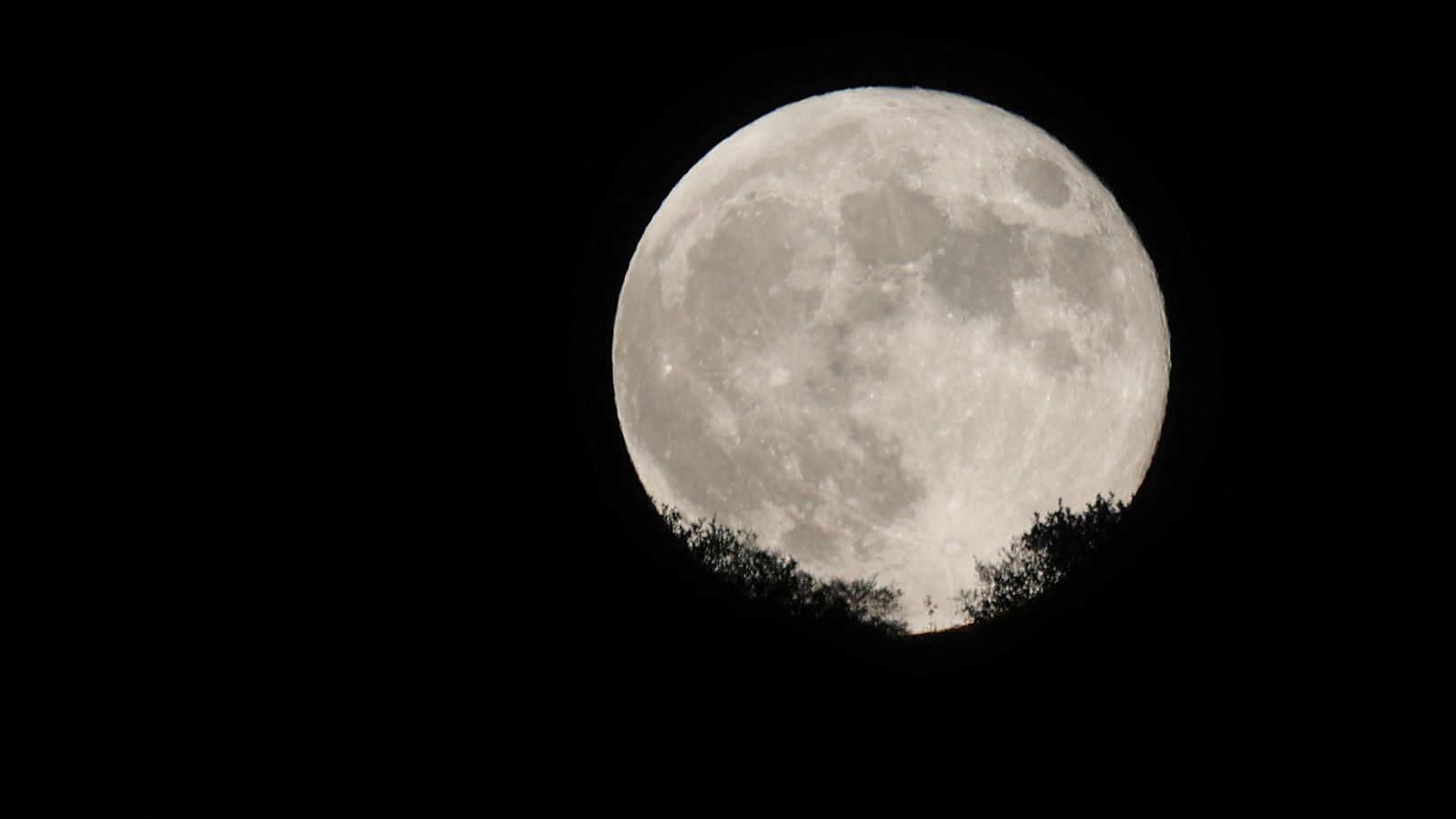 Blue supermoon: Everything you need to know about lunar spectacle | Science & Tech News