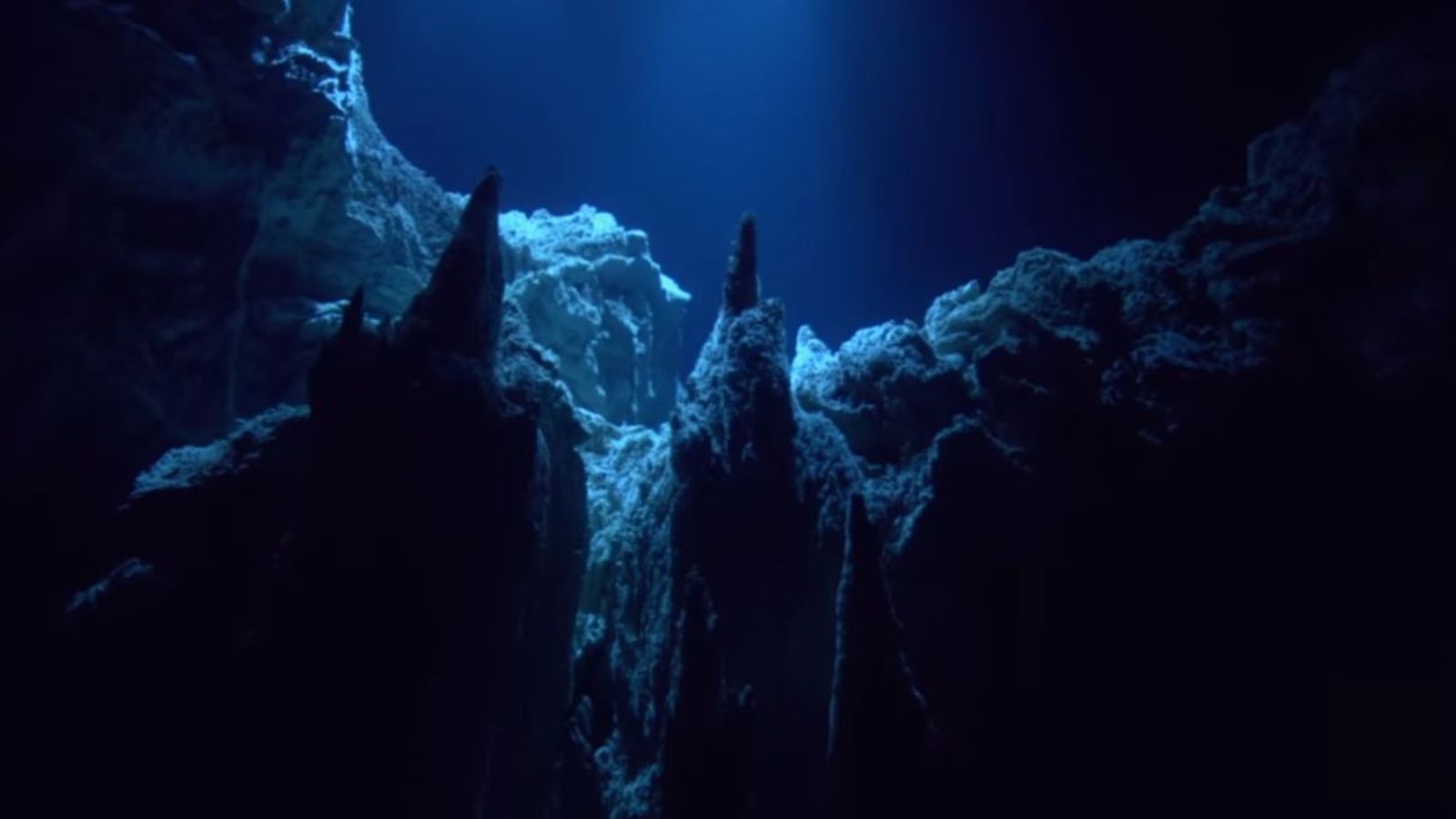 New virus discovered in Pacific is deepest ever found in Earth’s oceans | Science & Tech News