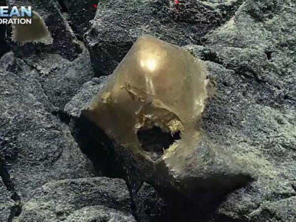 ‘Glittering gold blob’ found on sea floor baffles scientists | World News