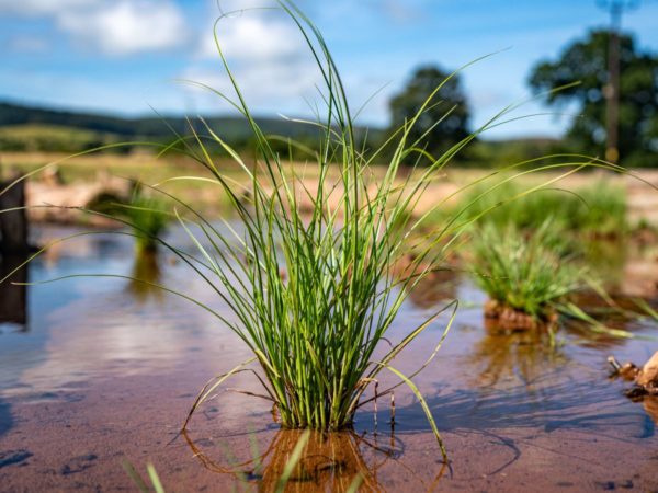 September’s temperature data was ‘unprecedented’ – and researchers are baffled at why extremes are so high | Climate News