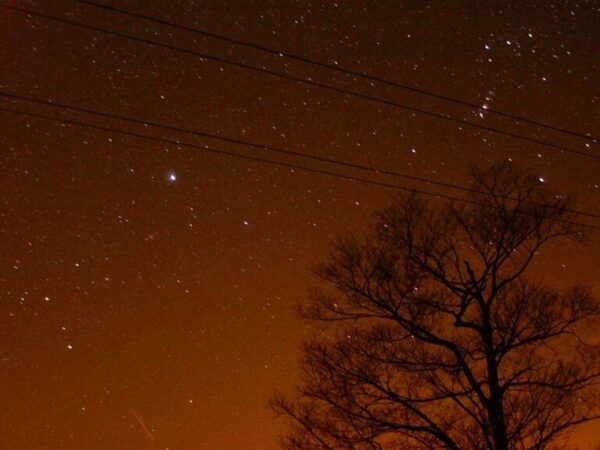 Leonid meteor shower to light up skies above the UK this weekend | Science & Tech News