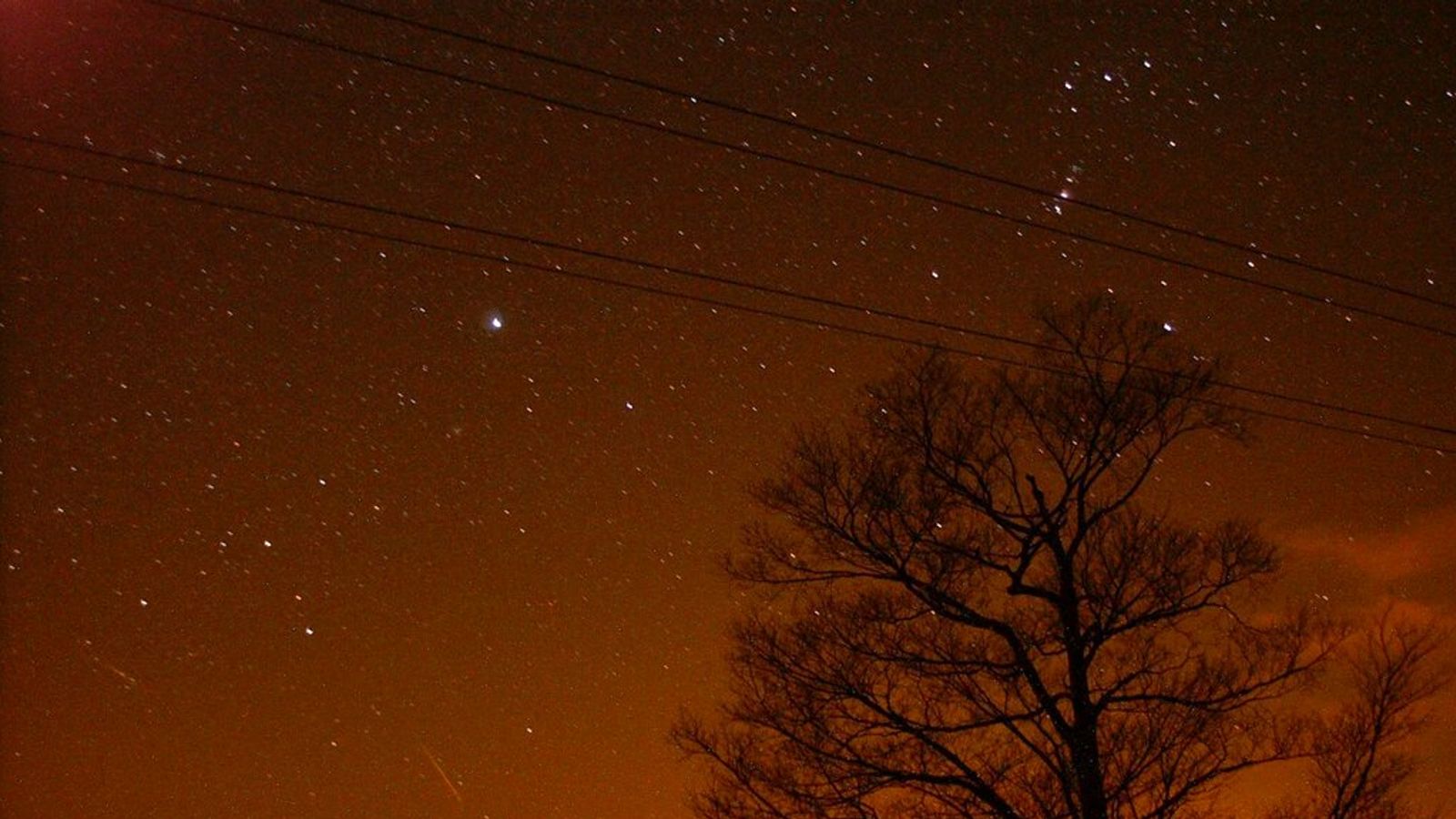 Leonid meteor shower to light up skies above the UK this weekend | Science & Tech News