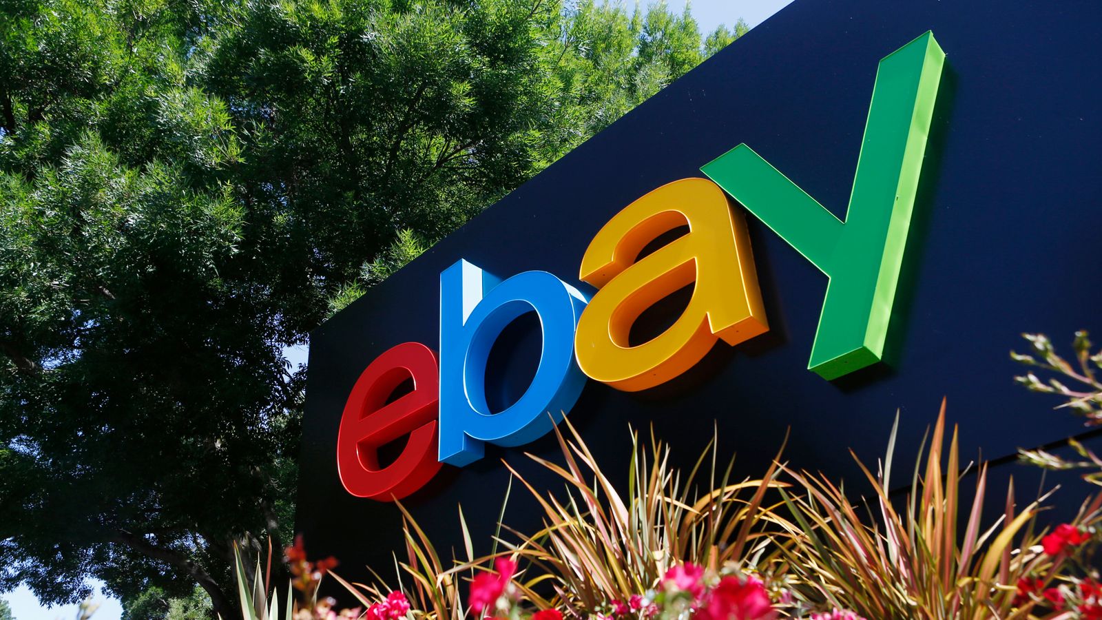 eBay to pay $3m fine over employees who sent live spiders and cockroaches to couple’s home | US News